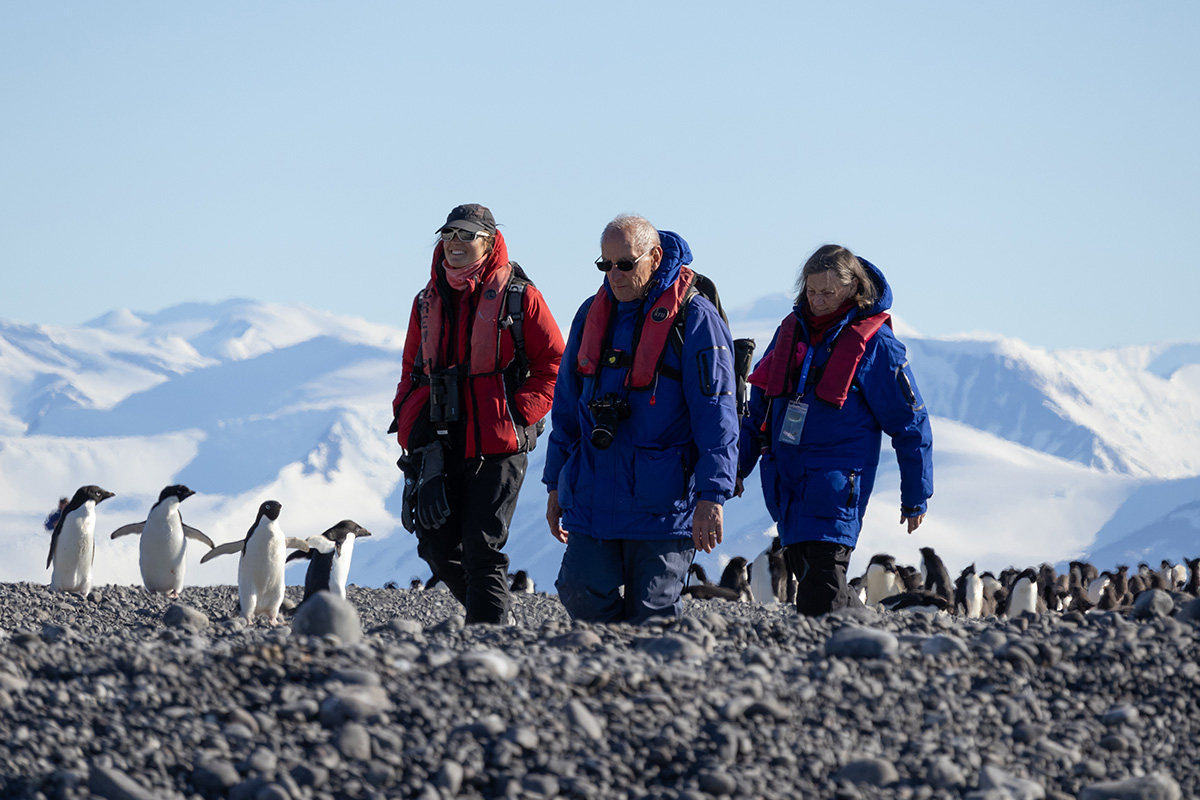 Three people walking among penguins in Antarctica