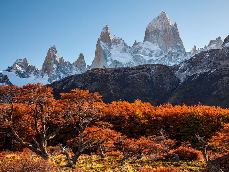 Stunning autumn colours at the Fitz Roy mountain range in Argentinian Patagonia.