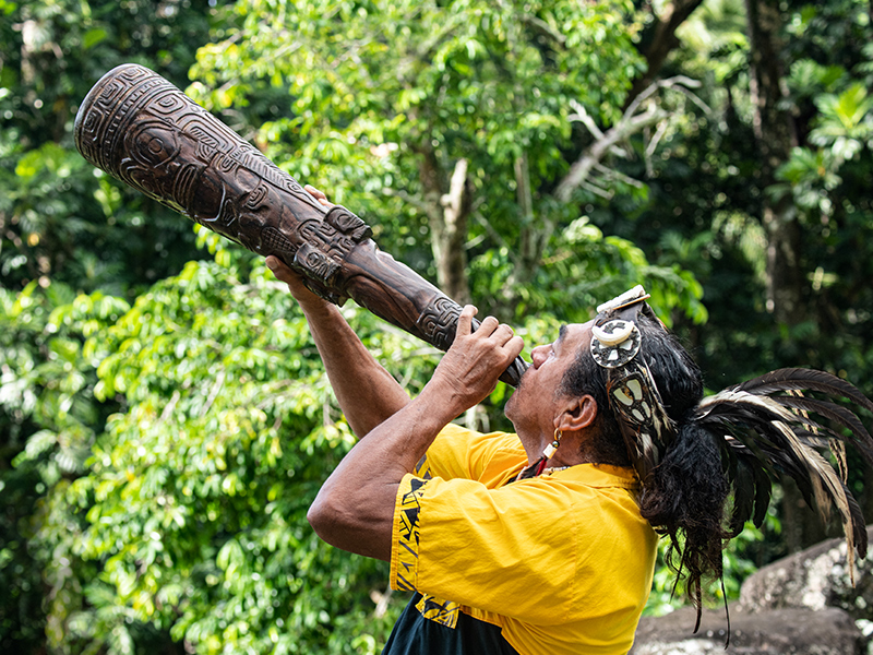 French Polynesian musician