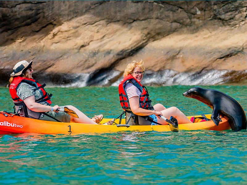 HX Expeditions kayak excursion and close encounter with a sea lion