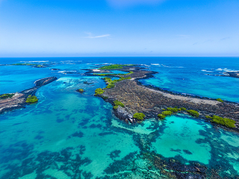 Isabela Island, Galapagos