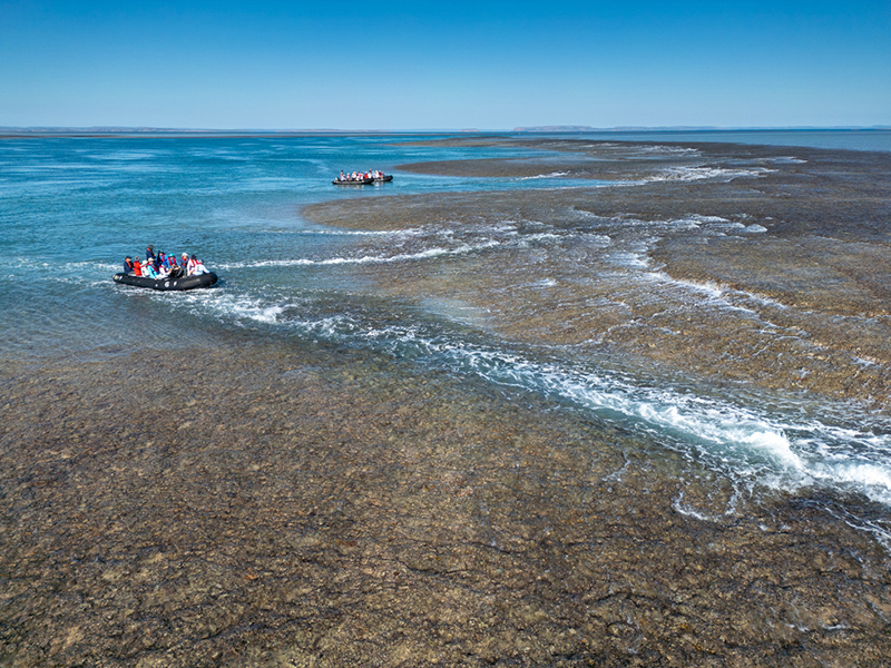 Montgomery reef in Kimberley