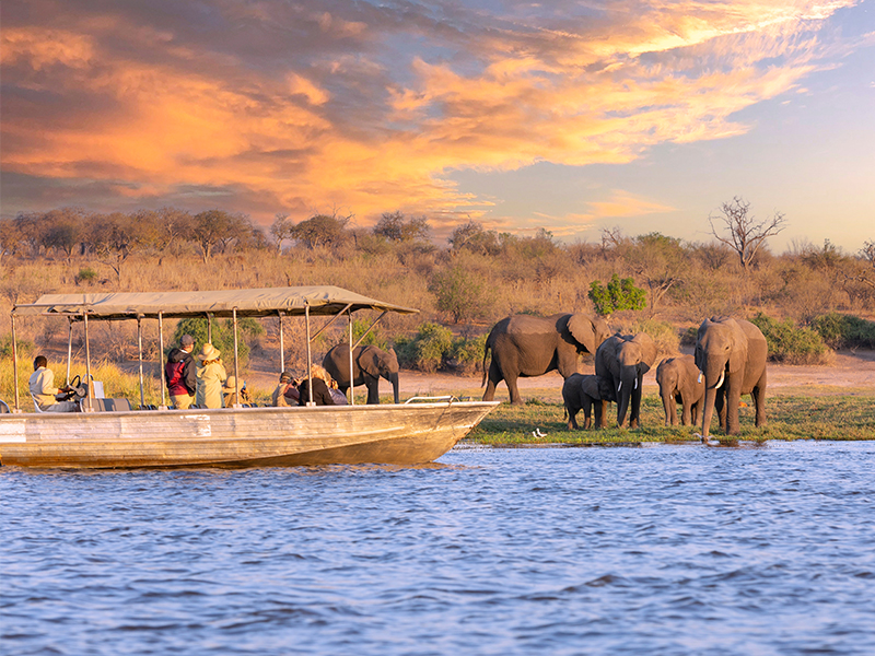 Chobe National Park, Botswana