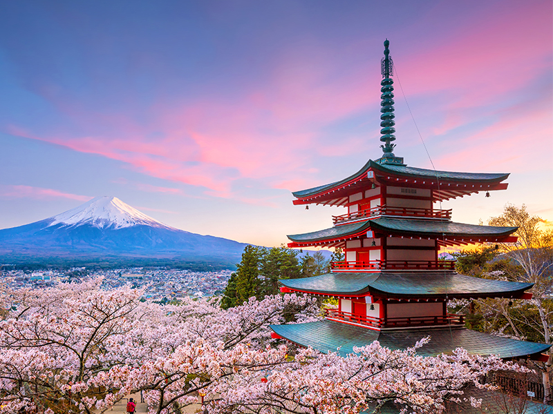 Mount Fuji in spring