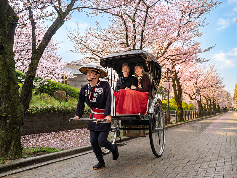 Rickshaw under Blossom - Image courtesy of Silversea