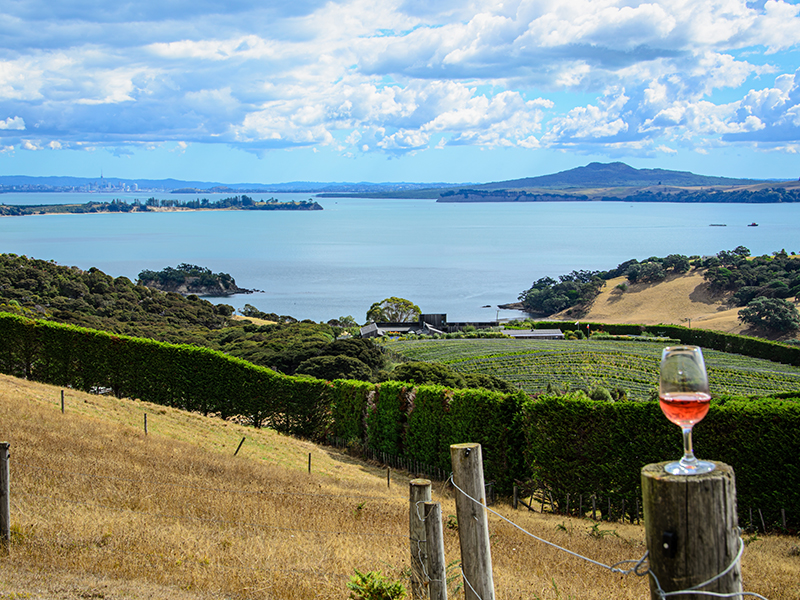 Waiheke Island, New Zealand