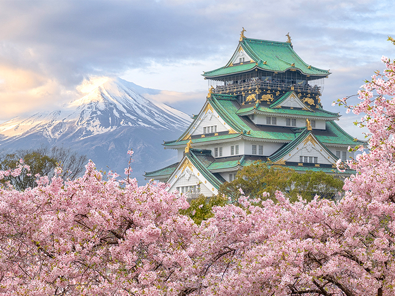 Osaka, Japan at Osaka Castle during spring season