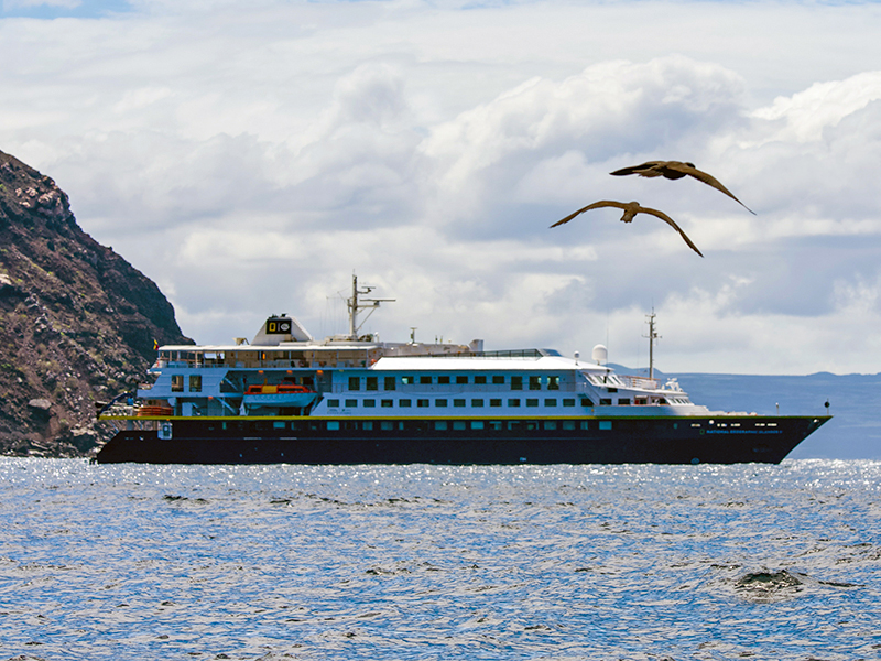 Islander II by Lewis